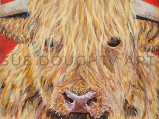 Highland Cow