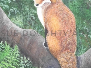 Woodland Fox