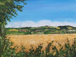 Bradgate Views from Blackberry Lane
