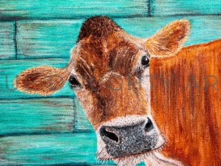 jersey_cow_MG_8117